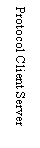 Text Box: Protocol Client Server